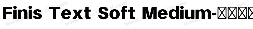 Finis Text Soft Medium字体转换